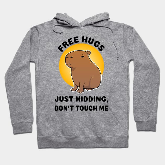 Free hugs Just kidding don't touch me Capybara Hoodie by capydays